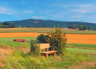 Gasthof-Pension Kesslsimerhof - Neualbenreuth - 7
