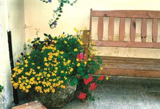 Gasthof-Pension Kesslsimerhof - Neualbenreuth - 4