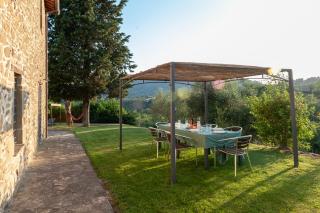 Elm Tree, Olive Brench and Cypress Farmhouse Apartments With Pool - Happy Rentals - Panicale - 9