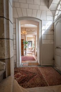 L'Hotel de Panette, Un exceptionnel château en coeur de ville - Bourges - 4