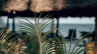 Sahari Zanzibar - Bwejuu - 5