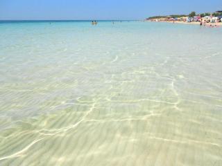 Villa Schirinzi San Pietro in Bevagna - 5