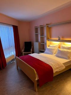 Hôtel EDIROL - Vouvry - 4