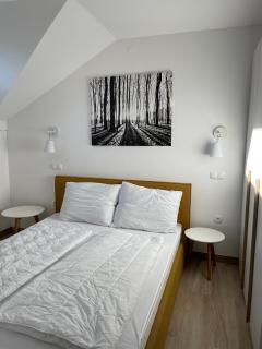 Sunshine Apartments Golte C1 - 6