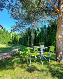 Apartmani Milicevic Zlatibor - Zlatibor - 6