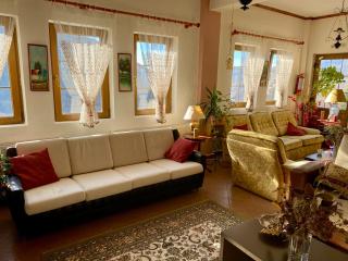 Eleni's Guesthouse - Pisoderi - 7