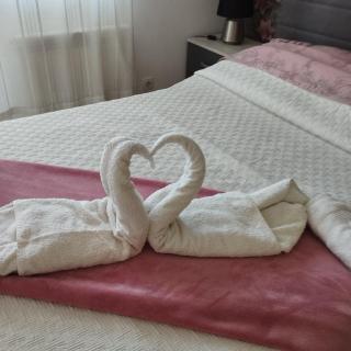 Apartman GANA Altina , FREE PARKING - 9