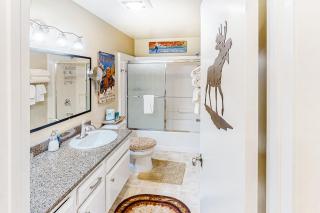 Sun Valley Hideaway - Ketchum - 1