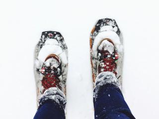 Levin Alppitalot Alpine Chalets - 2