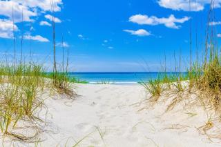 Luau Condos - Destin - 6