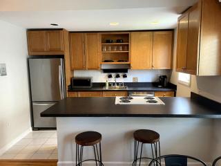 Lovely Two Bedroom Condo in South Boston - Boston - 4