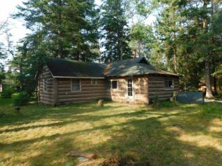 O Me, O Mio Cabin near the AuSable River - Mio - 0