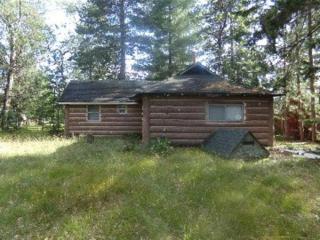 O Me, O Mio Cabin near the AuSable River - Mio - 9
