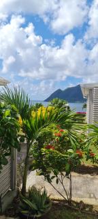 studio cosi, jardin privé, vue magique depuis piscine à débordement de la résidence - Le Diamant - 5