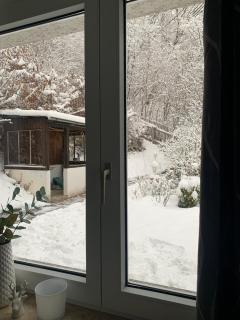Ferienhaus Andrea am Bodetal - Treseburg - 1