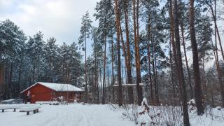 Domki w Sosnowym Lesie - 3