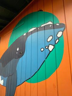 Hostel Antônio Pescador - Centro da Guarda do Embaú - 2