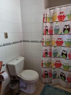 La Casa del Árbol Villarrica Cabañas-Piscina-Tinajas - 9