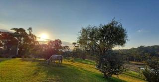 Pousada Recanto Das Araucárias - Bocaina do Sul - 8