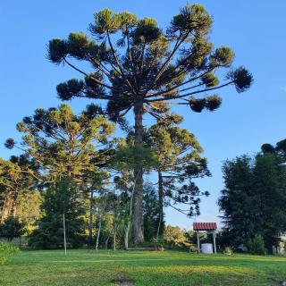 Pousada Recanto Das Araucárias - Bocaina do Sul - 6