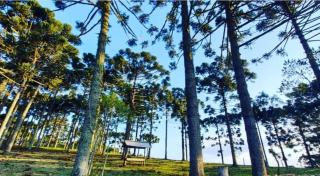 Pousada Recanto Das Araucárias - Bocaina do Sul - 4