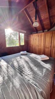 Acogedora cabaña para 5 El Abedul SMA - San Martín de los Andes - 3
