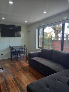 Cabañas y Departamentos Las Palmas, Temuco Depto 1 - Temuco - 8