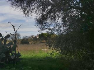 Villa Margot: grande moradia com piscina - Olhão - 1