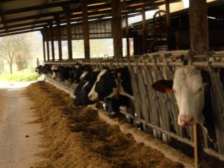 Maison spacieuse proche Lascaux, Wifi, Terrasse - FR-1-616-148 - 8