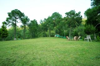 Pineland Resorts & Chalets Kasauli - Kasauli - 6