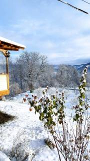 Casa Veche Corbeni - 5