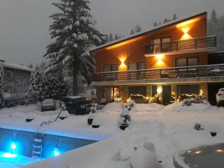 Apartamenty i Las - Brenna - 3