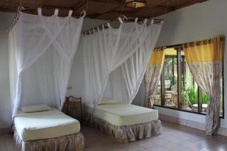 Ecolodge Bukit Lawang - Hotel&JungleTREK - Bukit Lawang - 9