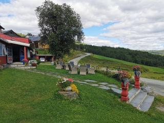 Grønolen Fjellgard - Beitostøl - 7