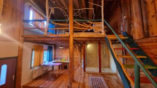 Harmonie Tree house Cotagges Chalet Predeal Trei Brazi - 1
