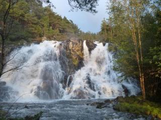 Alone In The Woods With Your Own River Nearby - Fitjar - 4