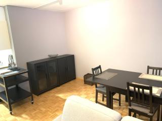 XL City Center Apartment-contactless check-in - Basel - 6