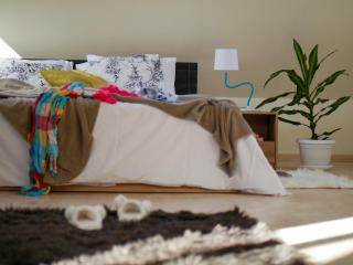 Altavista mountain apartment - 4