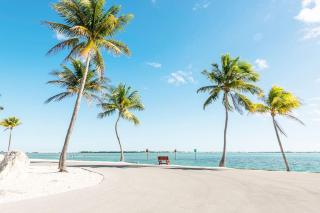 NAUTILUS...ocean front cottage retreat ~ - Cudjoe Key - 6