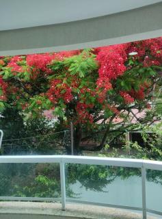 Residencial Açores - Bombinhas - 7