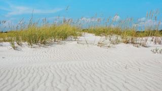 Blue Mar - Inlet Beach - 6