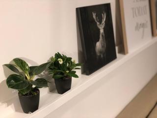 FeWo Ruhrnatur „Modern trifft Gemütlichkeit“ - 3