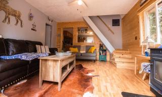 Charming Blue Farmhouse Cabin - Duck Creek Village - 6