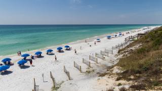 Beachcrest 1102 - Santa Rosa Beach - 6