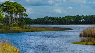 Grayt Fun - Santa Rosa Beach - 4