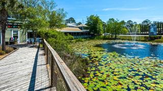 Grayt Fun - Santa Rosa Beach - 3