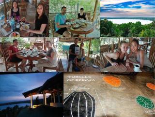 Turtle Paradise - Tangalle - 0