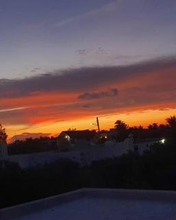 Casa Calandria - Chicxulub - 3