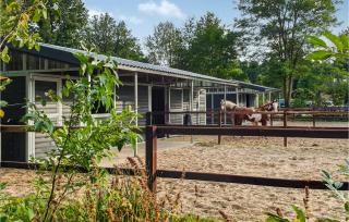 Pet Friendly StaCaravan - Hoogersmilde - 7