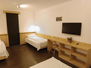 Pensiunea Bulevard - Râmnicu Vâlcea - 8